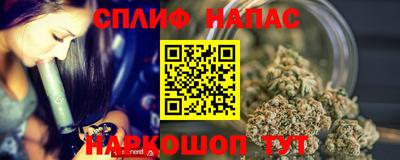 сатива Гатчина