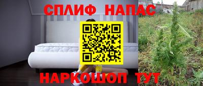 сатива Гатчина
