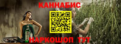 сатива Гатчина
