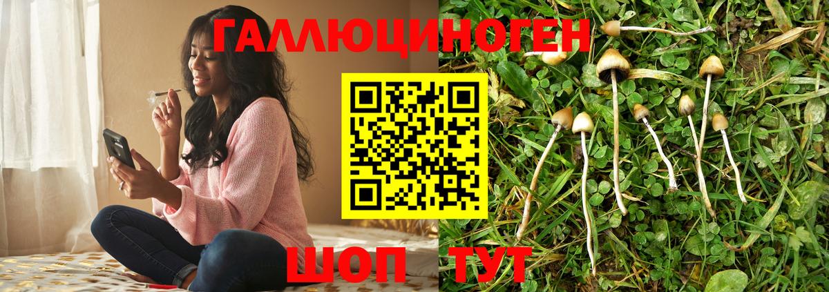 Псилоцибиновые грибы MAGIC MUSHROOMS  Псилоцибиновые грибы мицелий  Гусиноозёрск 