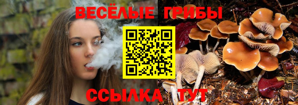 Галлюциногенные грибы мицелий Гусиноозёрск